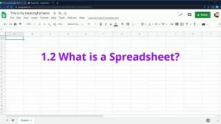 1.2 What is a Spreadsheet