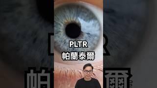 【PLTR】最具戲劇性的公司