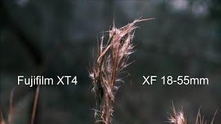 Fujifilm XT4 with XF 18-55mm Classic Neg Film Simulation Hand Held IBIS test - Cinematic Video