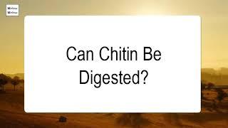 Can Chitin Be Digested