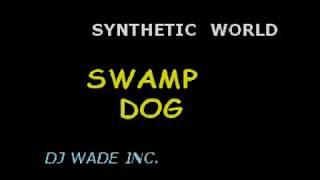 DJ 915 SWAMP DOG   SYNTHETIC WORLD DEMO (lyrics)