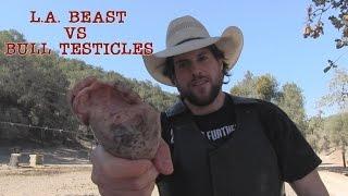 L.A. BEAST Eats Bull Testicles (Then Gets Ass Kicked By Angry 2000 Pound Bull)