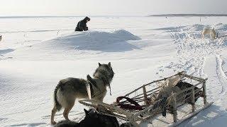 Счастливые люди | Енисей | Зима (серия 4) | Дмитрий Васюков