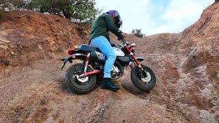 Honda Monkey EXTREME Off Road Test