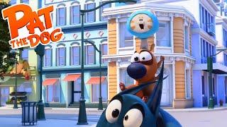 Pat the Dog - Racing 2