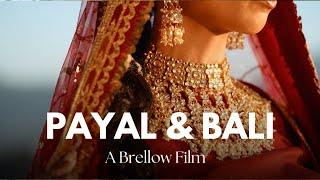 Payal & Bali | A Sikh Wedding Film | Brellow