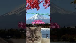 CUTE CAT IN JAPAN  #cat #catvideos  #catlover