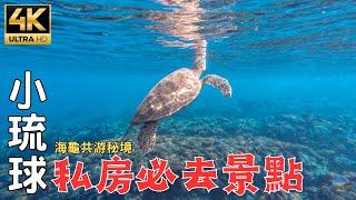 The most popular place in Taiwan to swim with turtles!