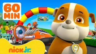 Rubble & PAW Patrol Strijden in de Grote Race! | 60 Minuten Compilatie | Nick Jr. Nederlands