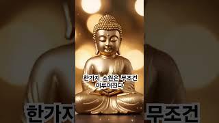 한가지 소원은 반드시 이루어진다 영인스님 1천만독 천수경 소원성취 #buddha #healing #불경 #염불 #독경