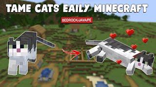 How to Tame a CAT Easily in Minecraft - TUTORIAL