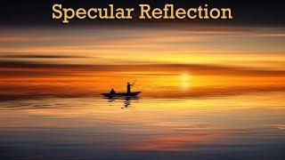 What is Specular Reflection?