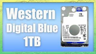 Western Digital Blue 2.5in 1TB Hard Drive - Unboxing