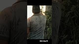 Cinematic short video | Shorts |mini vlog | Aftab Alam vlog | Aftab Alam #shorts #minivlog#short 09