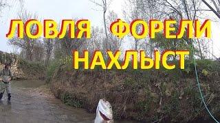 Форель.  Ловля ручьевой форели.