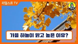 [1분 톡톡] 가을하늘이 맑고 높은 이유