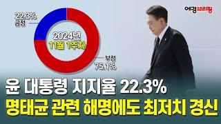 [에경브리핑] 윤 대통령 긍정 평가 22.3%…민주당 43.7%, 국민의힘 30.7% / 에너지경제 2024.11.11