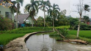 Rumah mewah tengah sawah di Jawa barat,alam desa yang indah