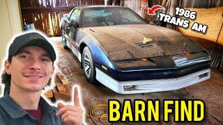 Detailing Low Mile BARN FIND Trans Am