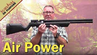 Air Venturi Avenger PCP Air Rifle Review