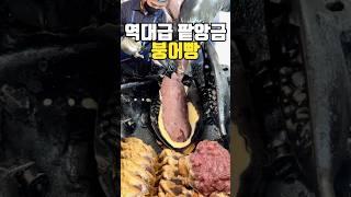 전국에서 팥앙금 제일 많이 넣어주는 붕어빵