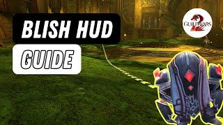 The Best Addon for Guild Wars 2 - How to Install Blish HUD