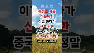 충청도 시골마을에서 이걸 하다가 신고 당한 중국인이 충격적입니다!