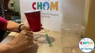 DIY Microscope