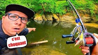 Poissons monstres inattendus et macabres découvertes dans cette petite rivière !! ( C'EST CHOQUANT )