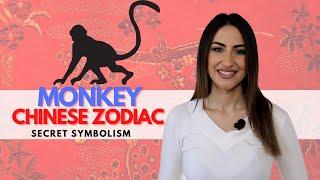 MONKEY Chinese Zodiac Sign - Everything You Need To Know!