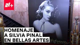 Homenaje a Silvia Pinal en Bellas Artes - N+