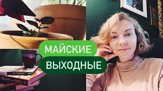 Уютная уборка на кухне и цветок🪴Выпечка на выходные Майская прогулка у Речного вокзала️