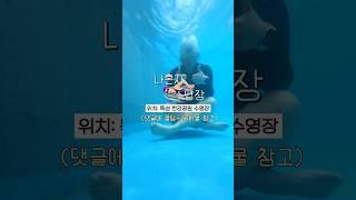 단돈 5천원 수영장‍️ㅣ뚝섬한강공원수영장 꿀팁+준비물 정리