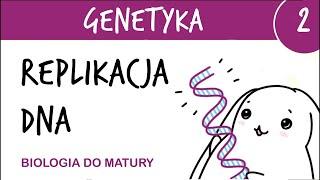 Genetyka 2  Replikacja DNA - matura z biologii rozszerzona, liceum
