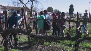 Farmworkers in San Joaquin County express concerns about illegal immigration crackdowns