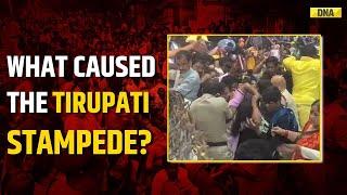 Tirupati Temple Stampede: What Triggered The Tragic Tirupati Stampede? Tirupati Balaji Temple