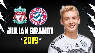 Julian Brandt 2018/2019●The German MESSI- Amazing Goals, Skills & Assists||Welcome to Dortmund