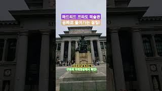 스페인여행 마드리드 프라도미술관 공짜입장 꿀팁! ##shorts #travel #여행 #맛집 #스페인여행 #리마로의세계여행 #프라도미술관무료입장 #마드리드여행 #프라도미술관