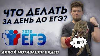 Что делать за день до ЕГЭ? Дикой МОтивации видео