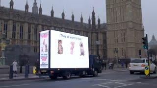 Pig Gassing: We Drove a Cinema Truck Around London Showing This Footage | Viva!