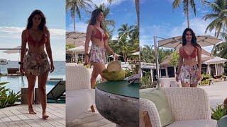 Disha patani hot dress. Disha patani hot photo shot.