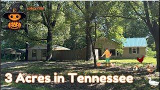 $130k Tennessee  Property w/3 Acres