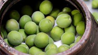 Green plum extract (Maesilcheong) - Korean foods