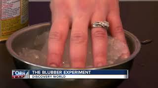 The "Blubber Experiment" at Discovery World