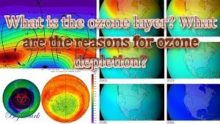 What is the ozone layer? What are the reasons for ozone depletion?