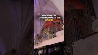 Мой тгк: guideva #калининград #калининградскаяобласть #путешествия