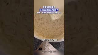 麵蟲當寵物來養，沒有比這更省心的寵物了，網友：蒸饅頭的時候還可以放一點。#shorts #china #DynamicChina