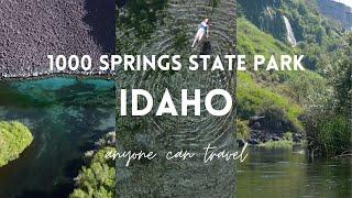 Where to go in Idaho | 1000 Springs State Park, Blue Heart Springs and Ritter Island