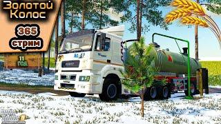 #FS19ЗОЛОТОЙ КОЛОСGOLDEN SPIKEВЕСНА11 ГОД#youtube