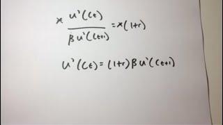 Euler equation in Economics - Derived from Scratch Step by Step in Model of Consumption